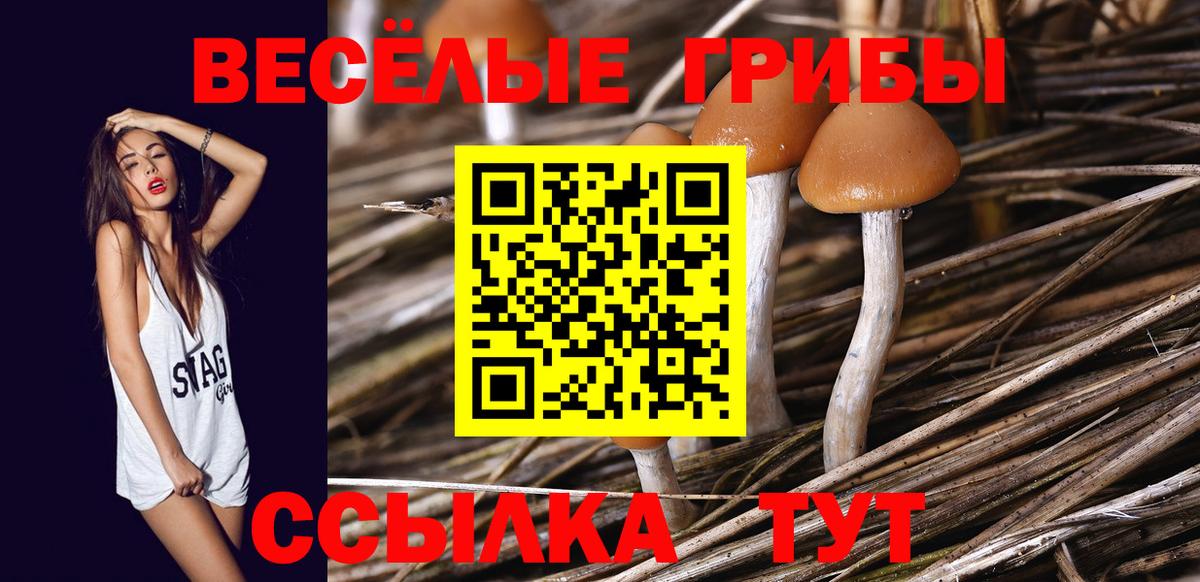 Псилоцибиновые грибы прущие грибы  Вход с VPN  Шахты 